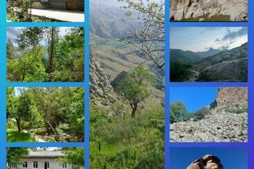 Pension Forest Guest House