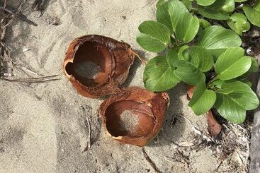 هتل Blue Horizon Boutique Resort