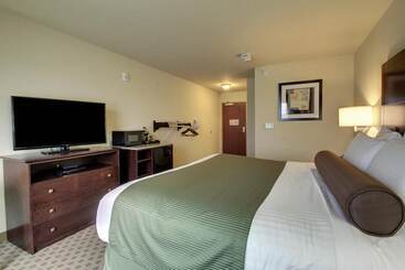 Cobblestone Hotel & Suites   Waynesboro