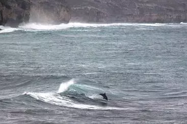 Hanson Bay Wildlife Sanctuary And Cabins