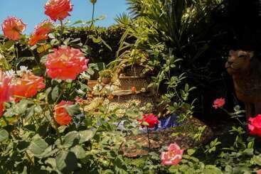 Padandaro Guest House