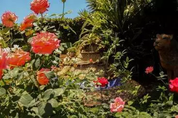 Padandaro Guest House