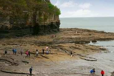 Buan Lavender Pension