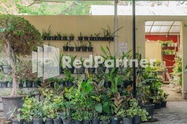 Hotel Vandhela Homestay Syariah Mitra Reddoorz