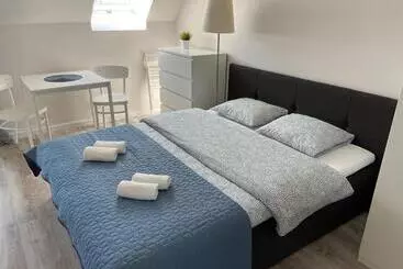 ペンション Pokoje Gościnne Zielony Dom