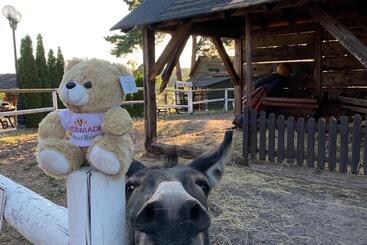 בית מלון כפרי Niedźwiadek