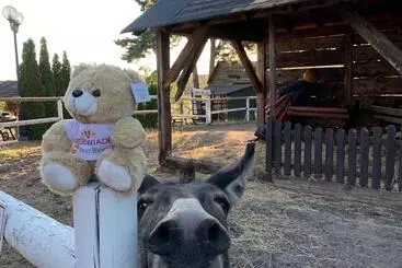 Hotelli Niedźwiadek