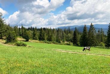 پانسیون Willa Górskie Retro