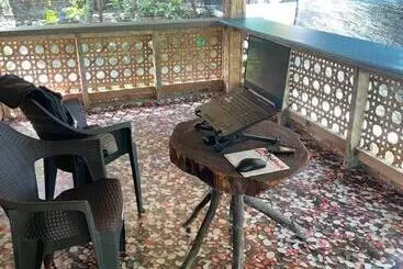 Bed and Breakfast Borbon S Treehouse By The Sea