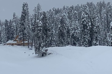 هتل Gulmarg Ski Hill Resort