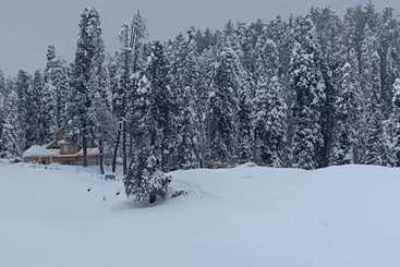 Hotel Gulmarg Ski Hill Resort