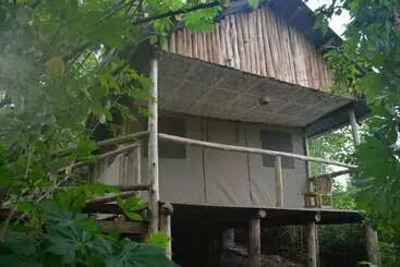 تختخواب و صبحانه Kibale Chimps Villas Lodge And