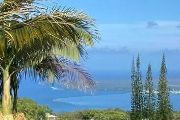 Appart'hotel Hilo Bay Ocean View Castle