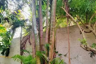 Gogonuts Hostel