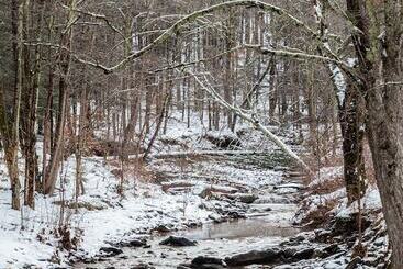בית מלון כפרי Urban Cowboy Lodge