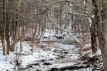 Hotelli Urban Cowboy Lodge