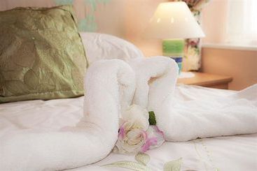 مبيت وإفطار Babbacombe Hall