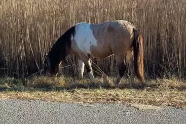 민박 Garden And Sea Inn