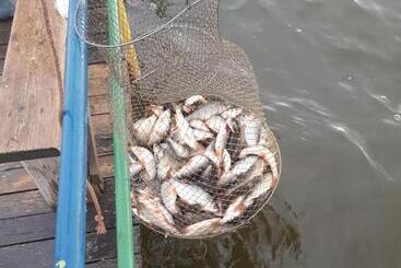 هتل гостевой дом Azia