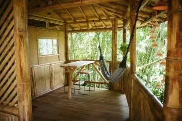 Bed & Breakfast Ecofinca Fuente Alegre