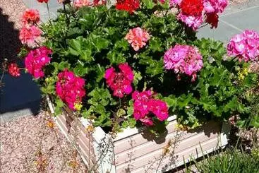 ペンション Acomodação Recanto Das Flores Stúdio Com Quarto Conjugado
