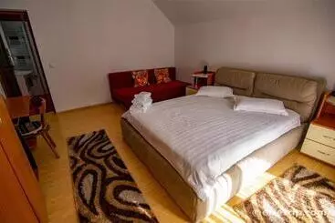 Pensão Casa Cu Flori Moisei