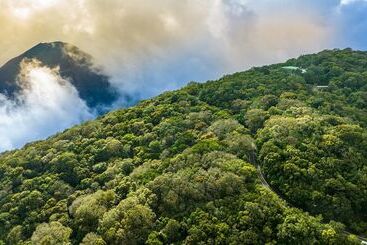 Casa 1800 Cerro Verde Boutique