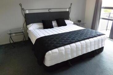 汽车旅馆  Chancellor Motor Lodge And Conference Centre