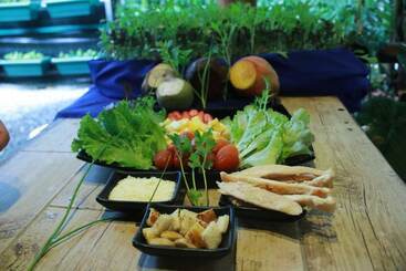 酒店 Tirimbina Rainforest Lodge