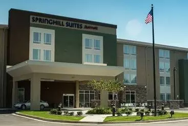 Hotelli Springhill Suites By Marriott Mobile West