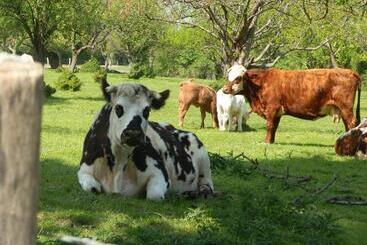 Bed and Breakfast Cottage Des Bords De Seine