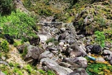 פנסיון A Cobiça Do Mundo