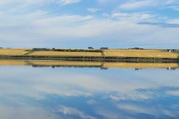 Vitaver, B&b, Stl Or00012f