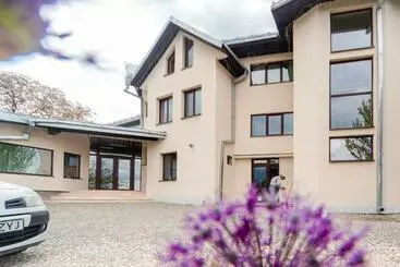 Pensiunea Casa De Vis