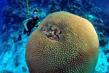 公寓 The Beach Place