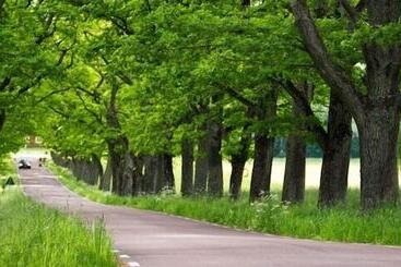 בית מלון כפרי Krokstad Herrgård