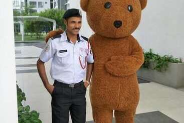 Japanese Home Hello Kitty   Hostel