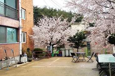 Daebudo  Supsok Pension