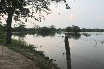 酒店 The Elephant Pass  Yala