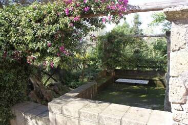 פנסיון Flegrea House Casa Rosa