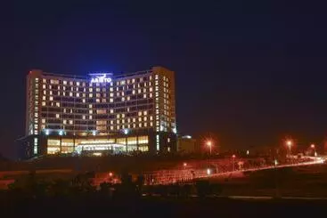 هتل Aristo International