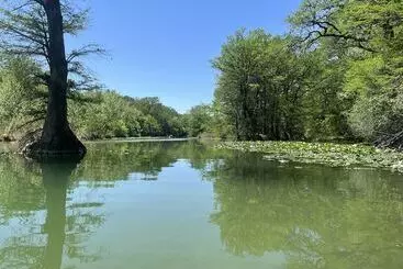 コテージ Treetop River Cabins On The Guadalupe River