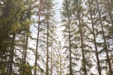 بيت ريفى A Frame Club