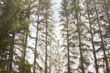 کلبه A Frame Club