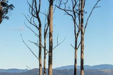 ベッドアンドブレックファースト Verandah House Country Estate