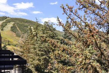 호텔 Shadow Ridge By Luxury Mountain Destinat