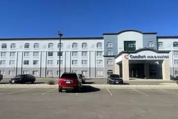 ホテル Comfort Inn & Suites