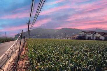 Taean Teuranjageunseong Pension