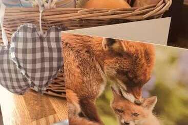 Casa Rurale A Beautiful, Unique Lodge, Made For Two