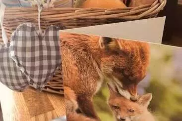 Mökkimajoitus A Beautiful, Unique Lodge, Made For Two